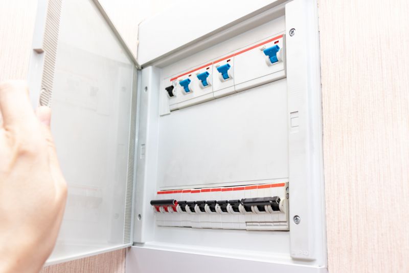 Fuse Box Service detail